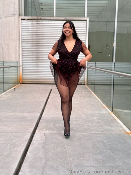 Mishelvega
