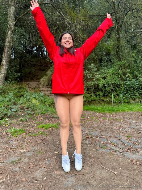 Mishelvega