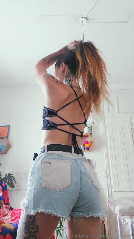 Agusvenus