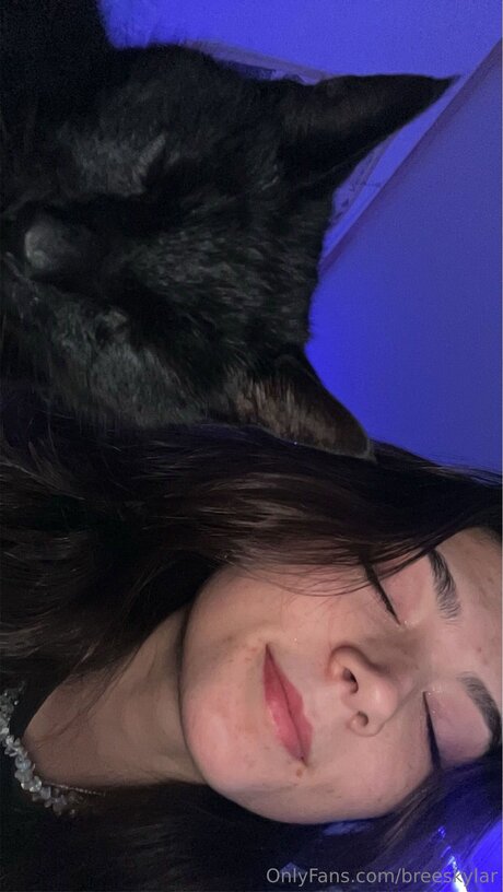 Breeskylar
