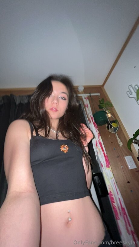 Breeskylar