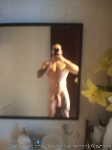 Trojanhorsecock9inches