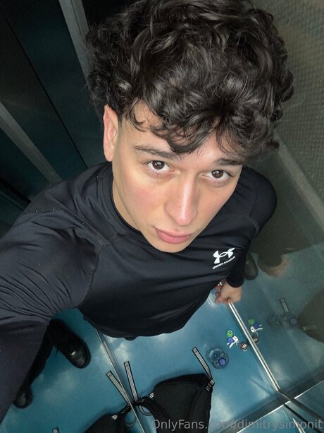 Dimitrysimonit