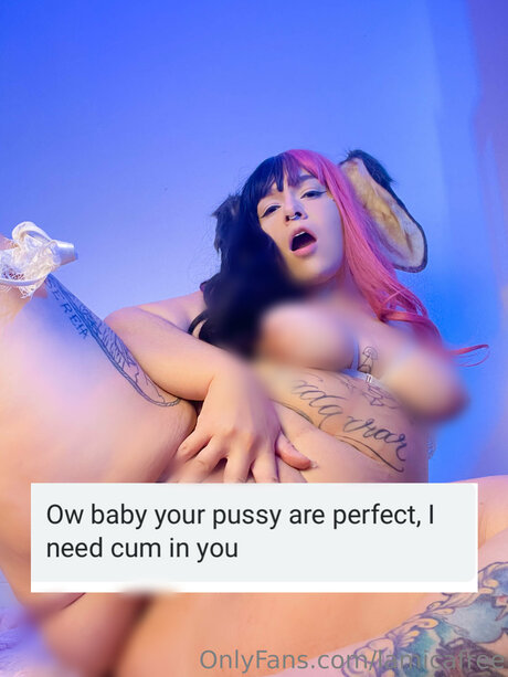 Lamicaclub