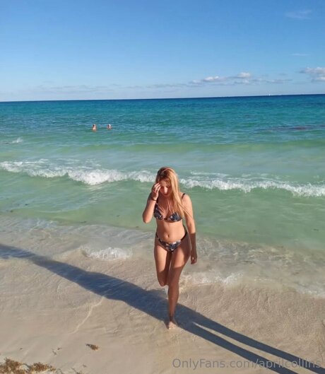 Aprilcollins