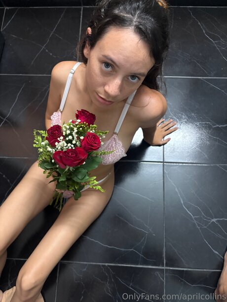 Aprilcollins