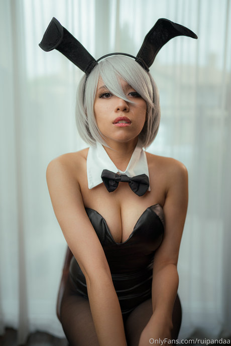 Ruipandaa