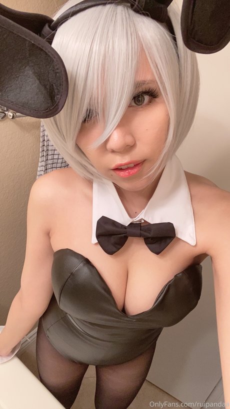Ruipandaa