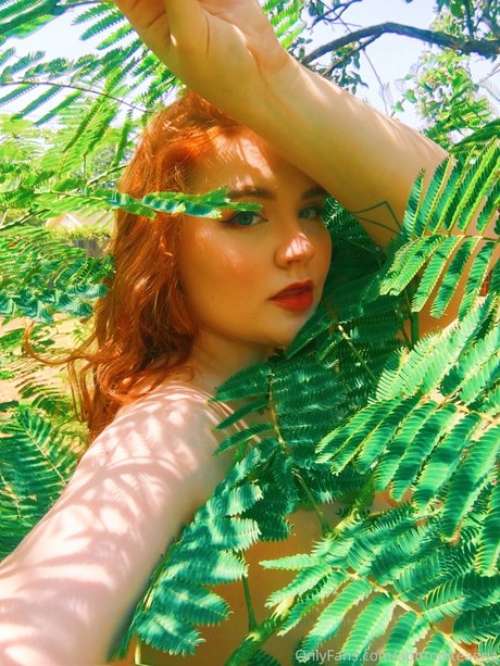 Allisonivyx