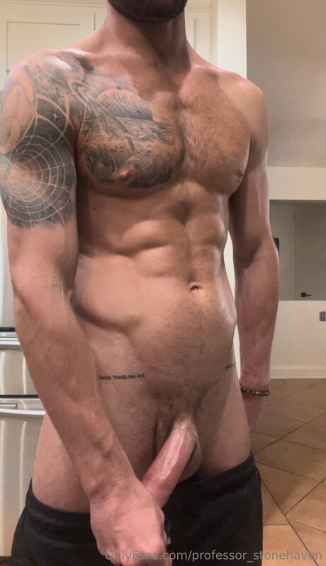 Professor Stonehaven