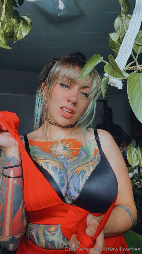 Littlewillowfree