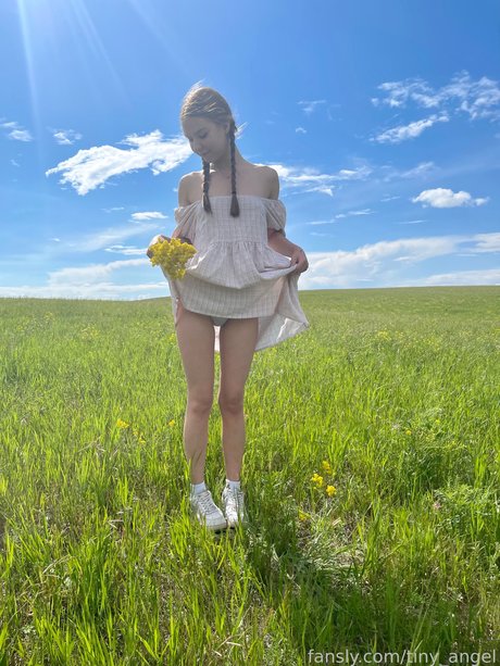 Tinyangelx