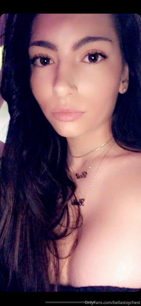 Bellas Toy Chest
