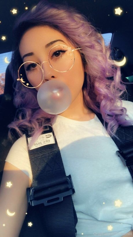 Ham_litt