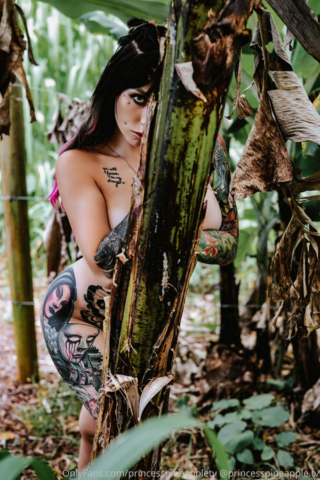 Theprincesspineapple