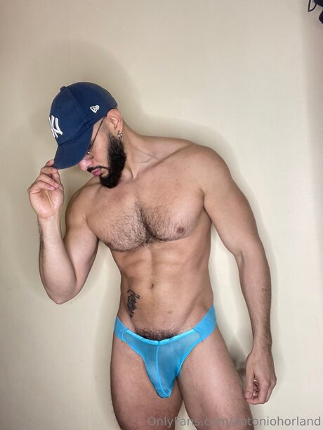 Antoniohorland