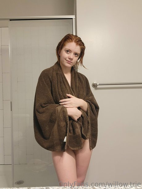 Willow Trie