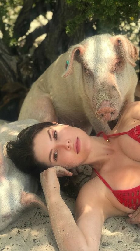 Amanda Cerny