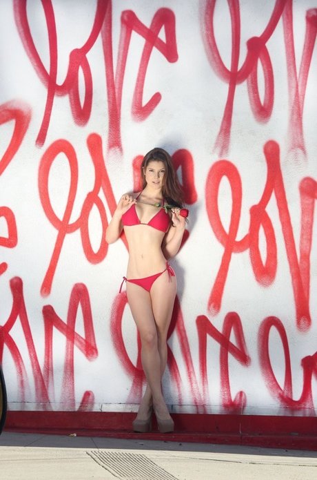 Amanda Cerny