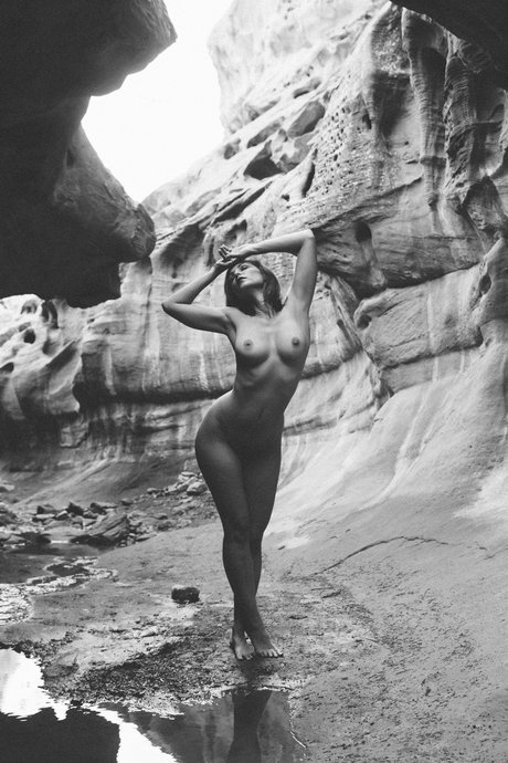 Carlotta Champagne