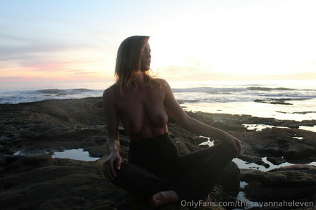 Thesavannaheleven