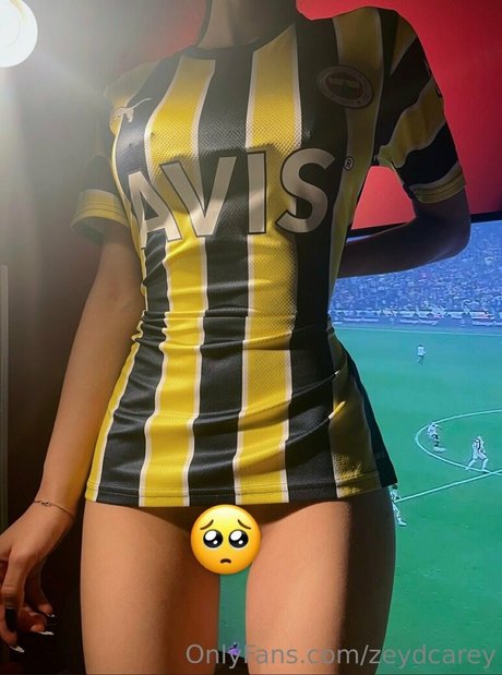 Zeydcarey