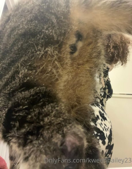 Kweenbailey23