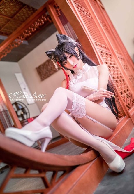Hana Bunny