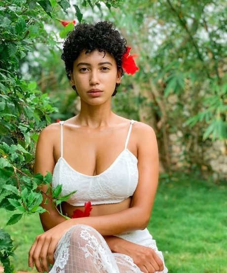 Andy Allo
