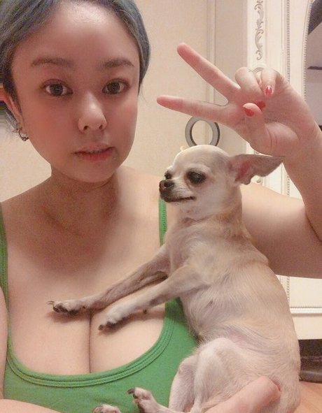 Pchan666