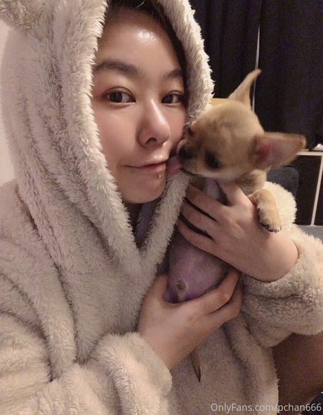Pchan666
