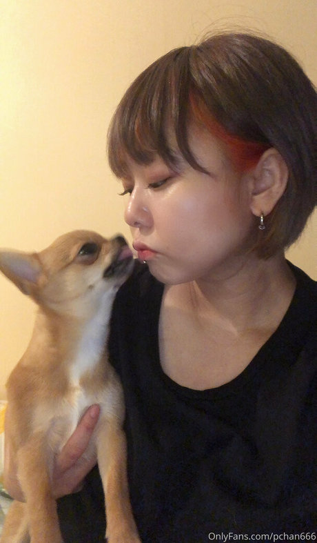 Pchan666
