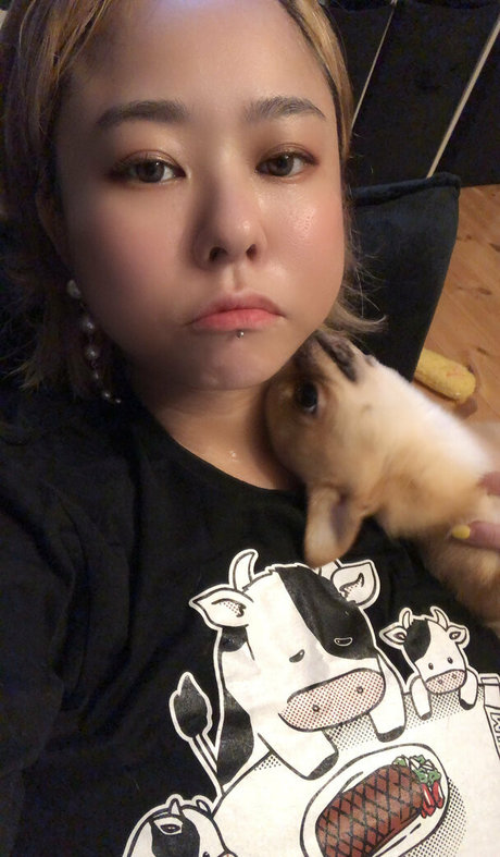 Pchan666