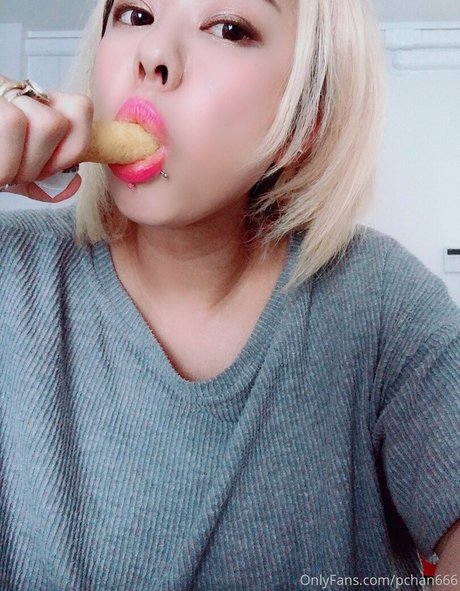 Pchan666