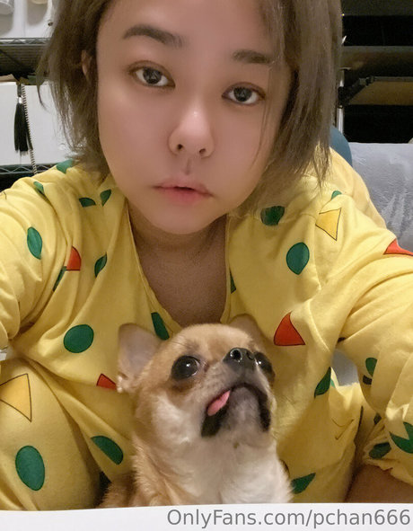 Pchan666