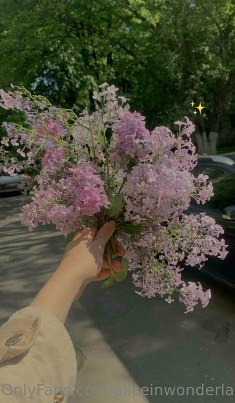 Aliceinwonderland_xo