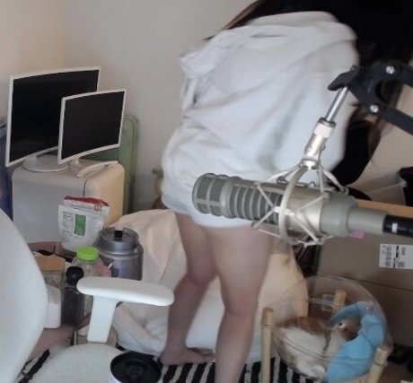 Ariasaki