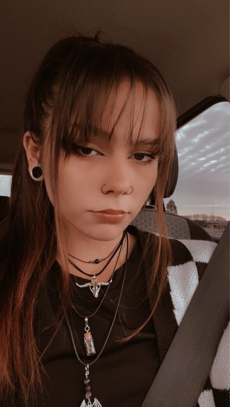 Sxvsy