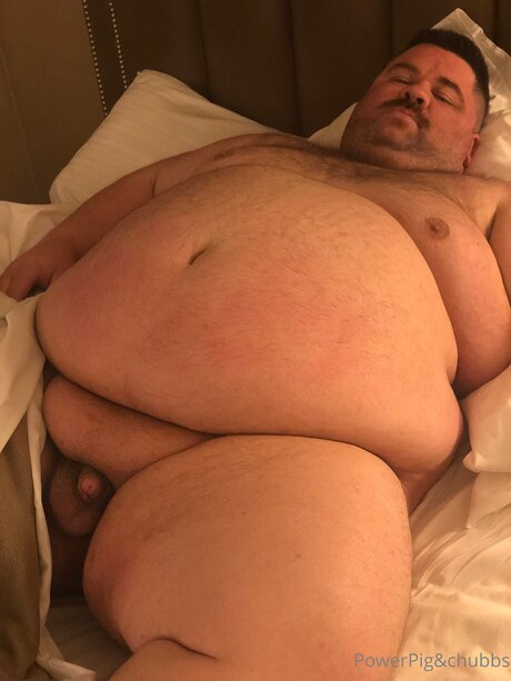 Powerpigspen