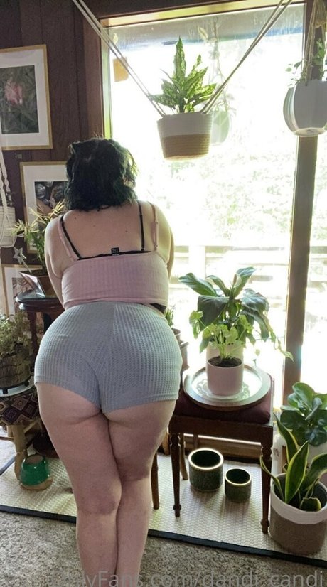 Dandi_candi