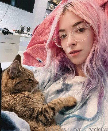 Morganlefoy