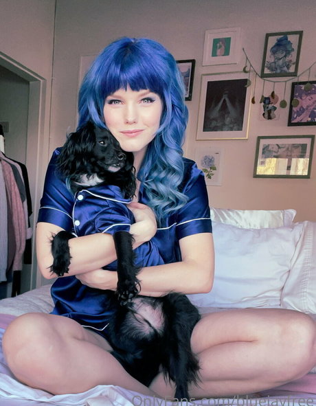 Bluejayfree