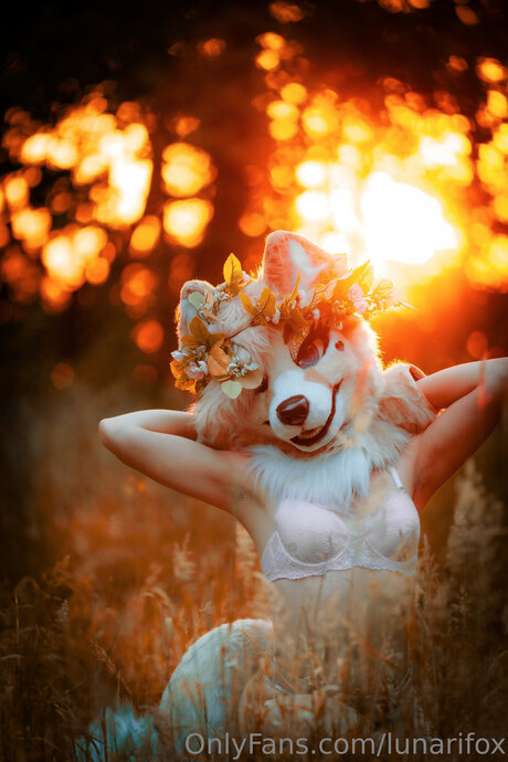 Lunarifox