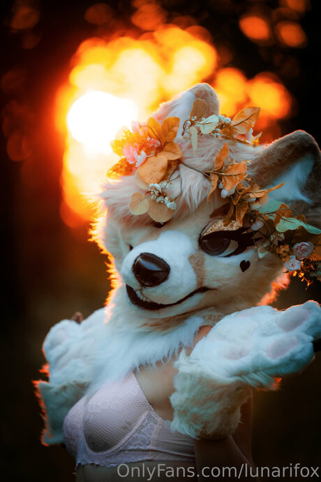 Lunarifox