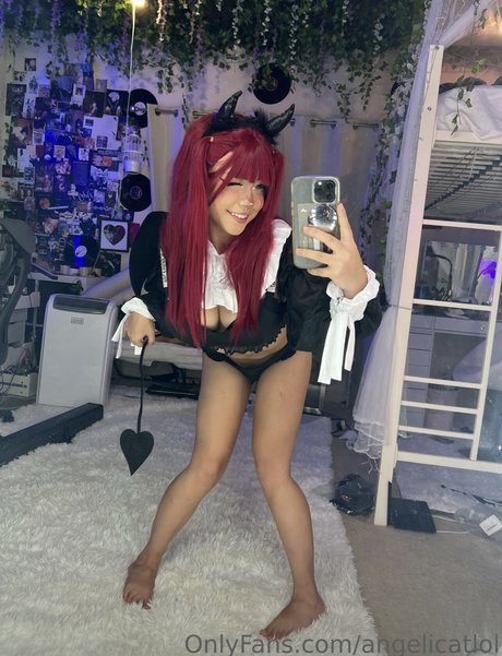 Angelicat
