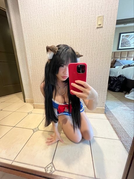 Angelicat