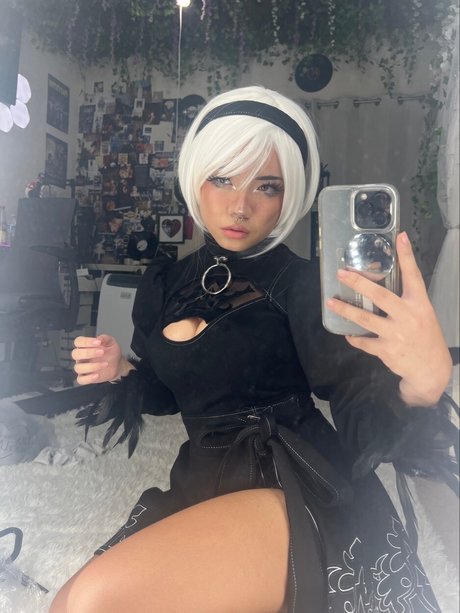Angelicat