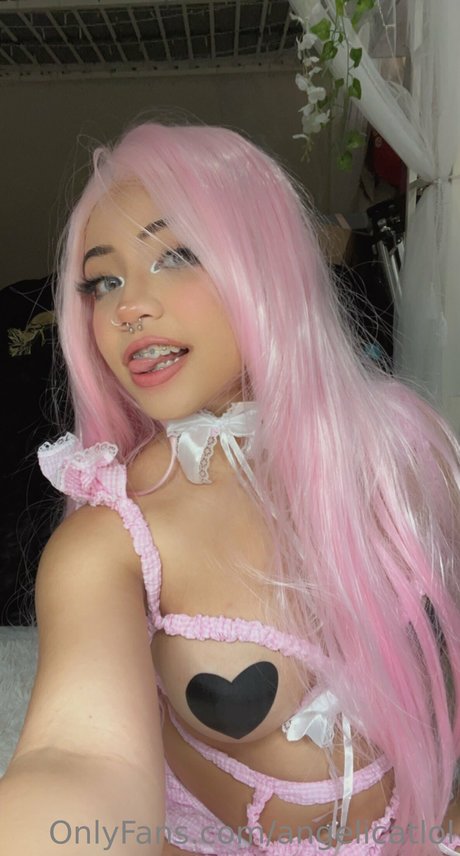 Angelicat