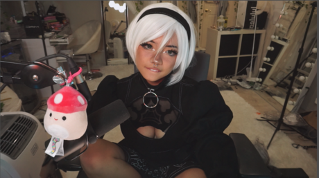 Angelicat