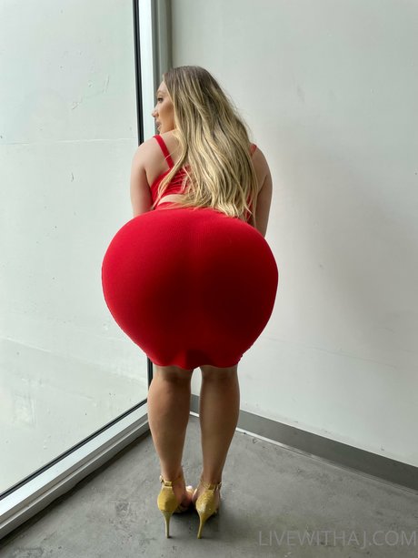AJ Applegate